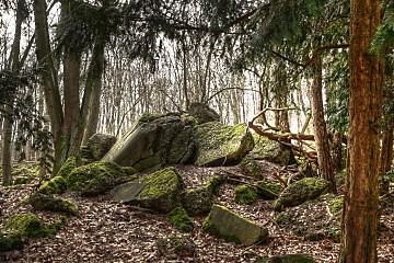 Festung Köln - TAG DER FORTS - crifa.de